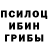 Псилоцибиновые грибы Cubensis Anton Der
