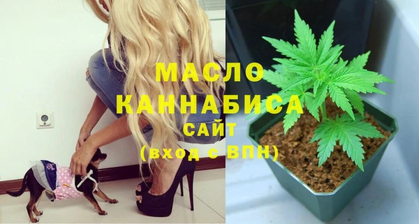 стаф Гусь-Хрустальный