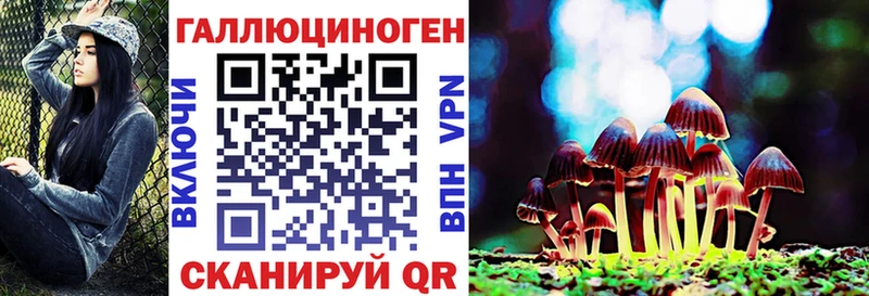 Псилоцибиновые грибы Cubensis  Сочи 